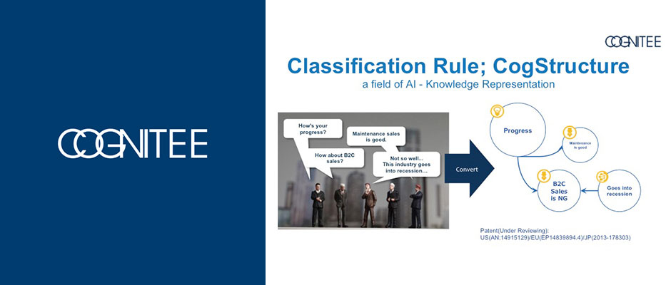 Classification Rule; CogStructure